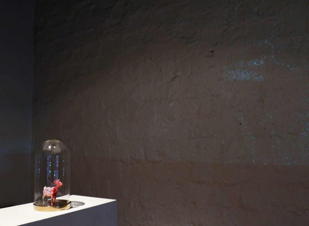 web_mg_5168